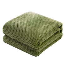 Green fleece blankets hot sale